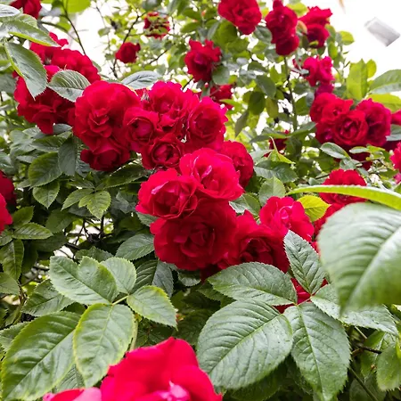 아파트 Tallinnhousing Old Town Elegance Vana-viru *