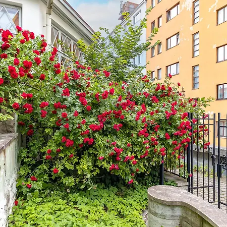 Tallinnhousing Old Town Elegance Vana-viru Apartment