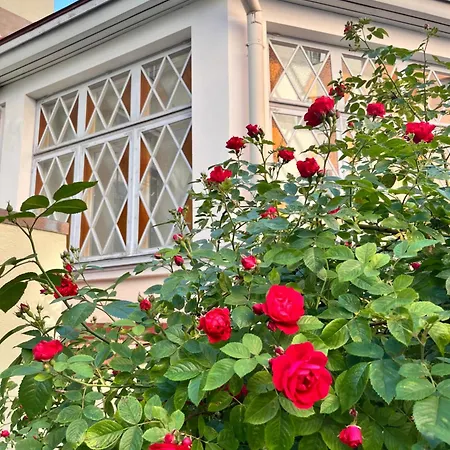 Tallinnhousing Old Town Elegance Vana-viru