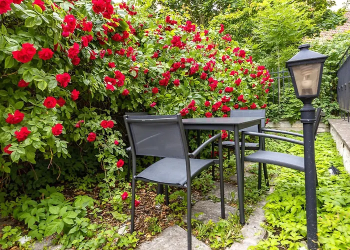 Tallinnhousing Old Town Elegance Vana-viru Appartement Tallinn