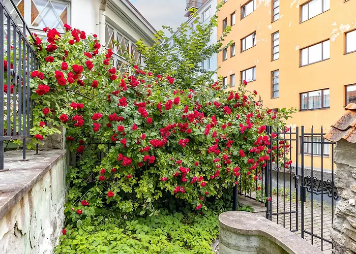 Tallinnhousing Old Town Elegance Vana-viru Daire