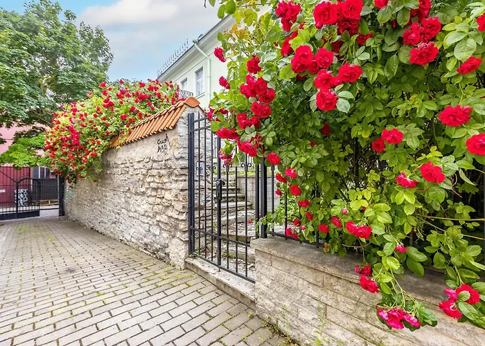 Tallinnhousing Old Town Elegance Vana-viru