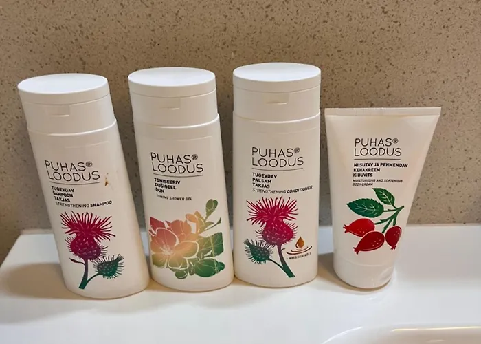 Daire Tallinnhousing Old Town Elegance Vana-viru Tallinn