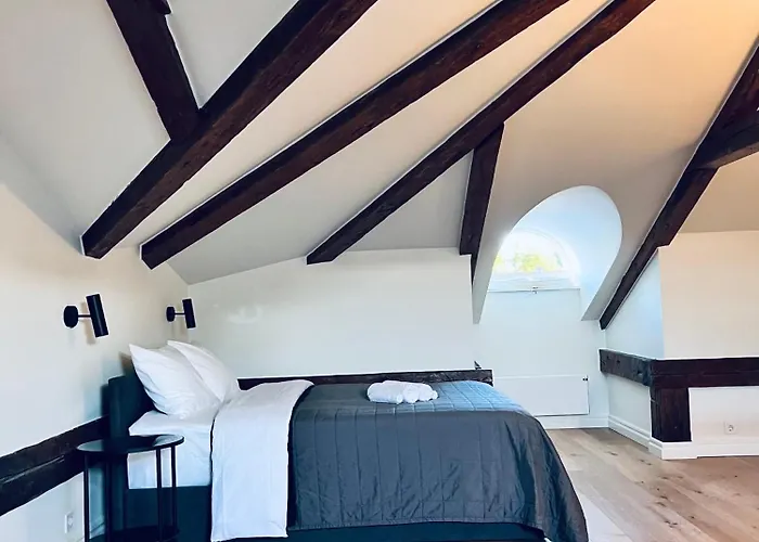 Tallinnhousing Old Town Elegance Vana-viru Daire Tallinn