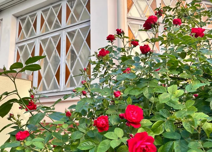 Tallinnhousing Old Town Elegance Vana-viru